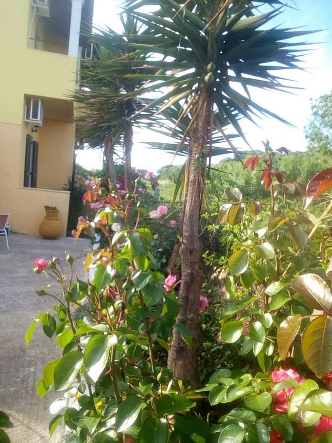 Chrysanthi Melitsa Apts. Sidárion Buitenkant foto